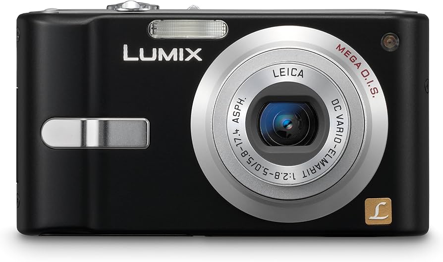 Amazon.com : Panasonic Lumix DMC-FX12K 7.2MP Digital Camera with
