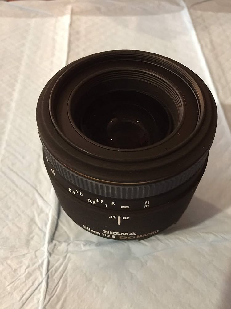 Amazon.com : Sigma 50mm f/2.8 EX DG Macro Lens for Nikon SLR