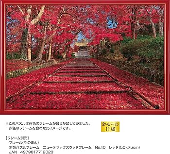 81o5jsqT6tS._AC_UF350,