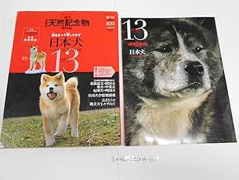 81oA3LhbuVL._AC_UF350,