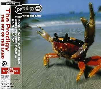 Amazon.co.jp: The Fat Of The Land: ミュージック