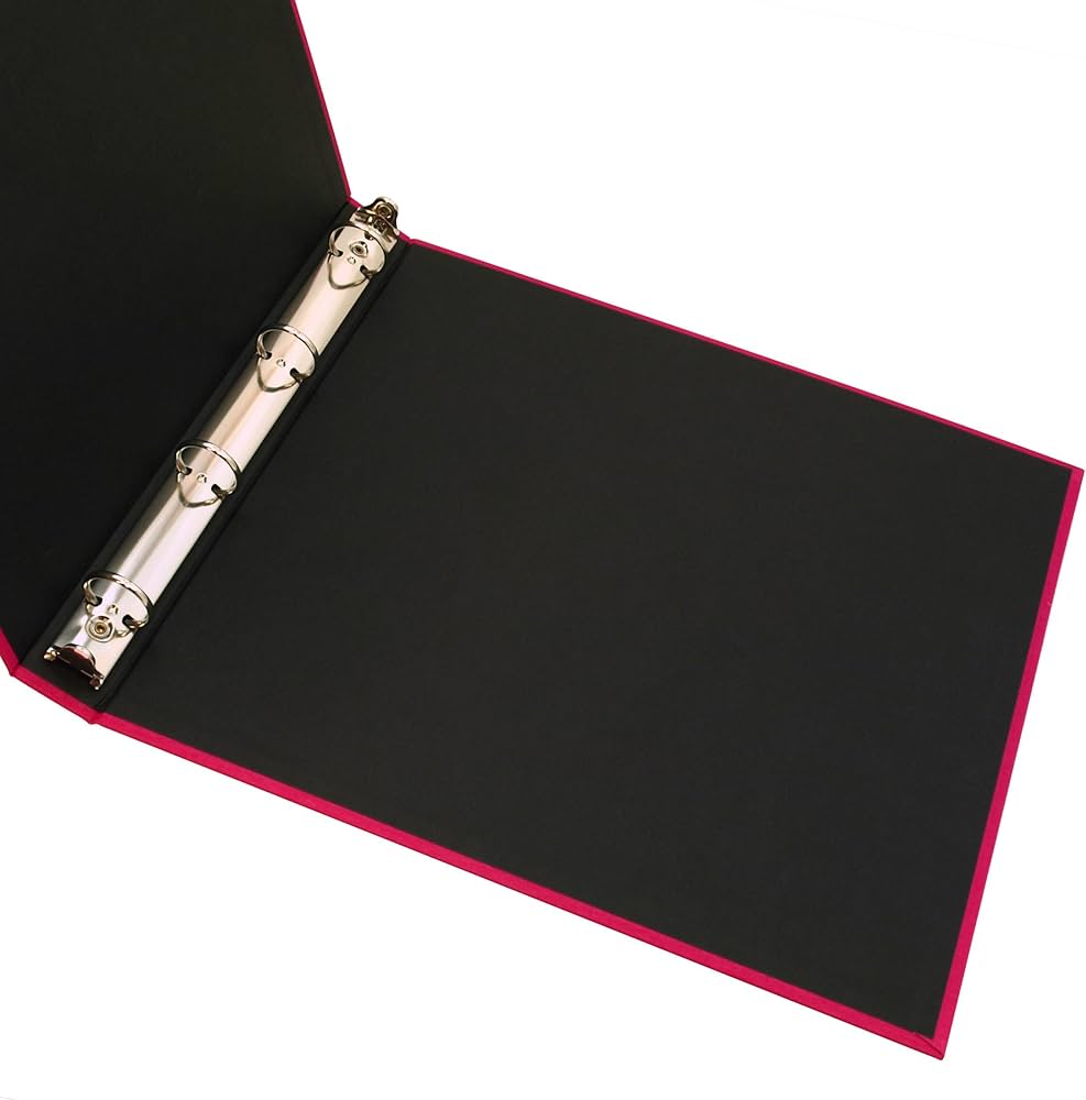 Amazon.co.jp: デルフォニックス PDフォトアルバムリングL 麻 : 家電