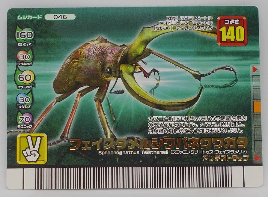 Amazon | 【046-フォレストグリーン】フェイスタメルシワバネクワガタ