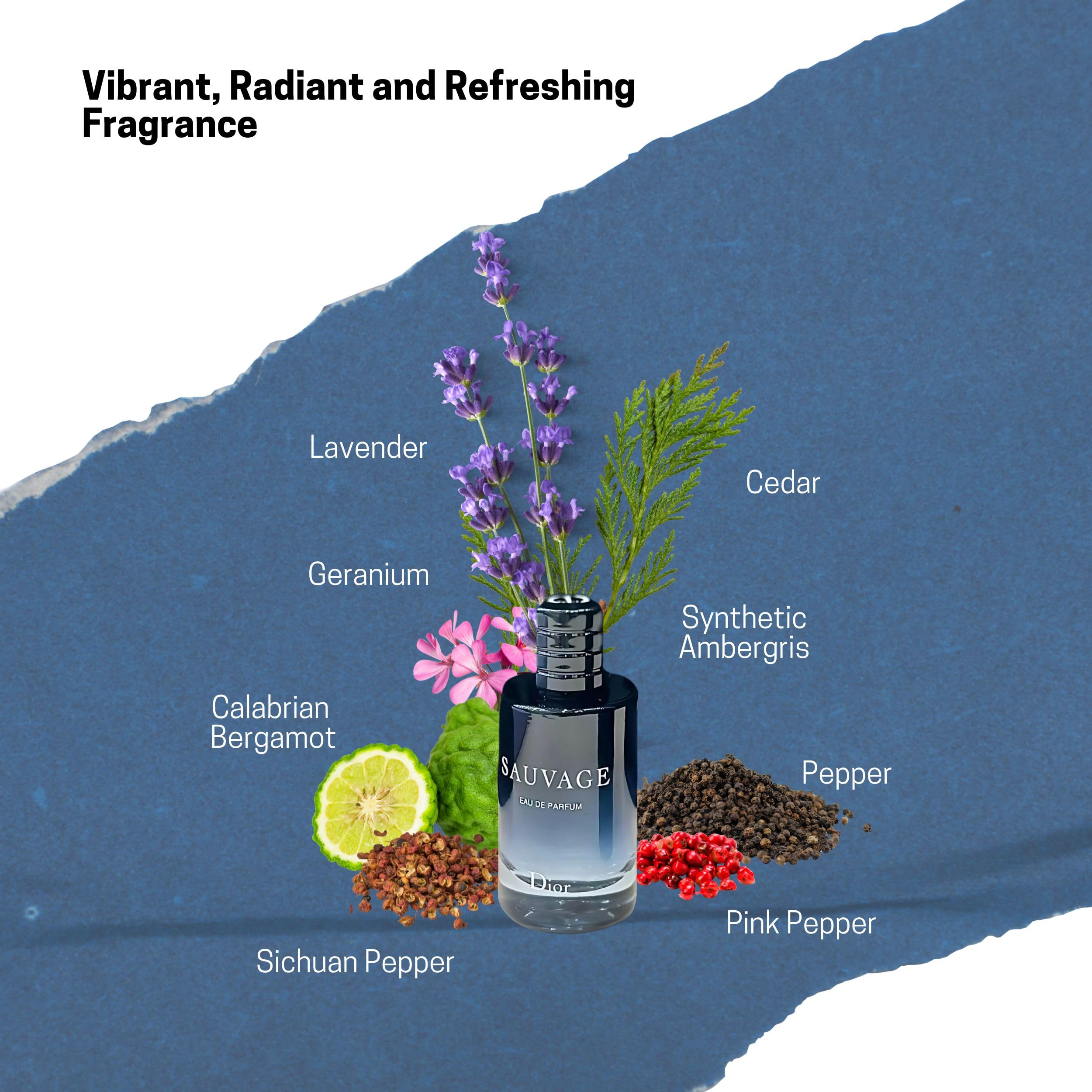 Amazon.com : Dior Sauvage Perfume for Men – Mini Fragrance Gift