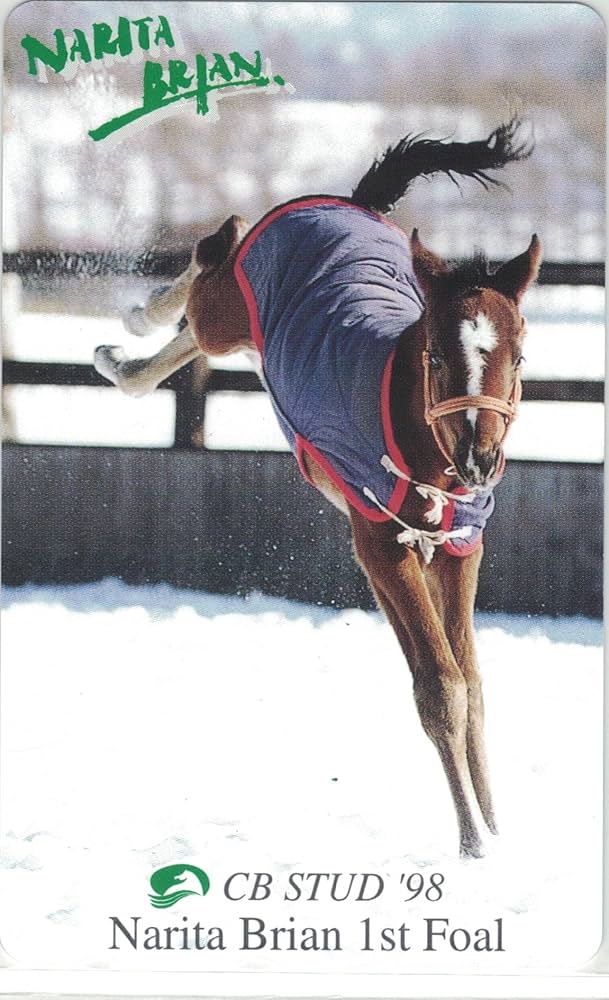 Amazon | テレホンカード テレカ ナリタブライアン CB STUD '98 競馬