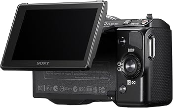 Amazon.com : Sony NEX-5N 16.1 MP Compact Interchangeable Lens