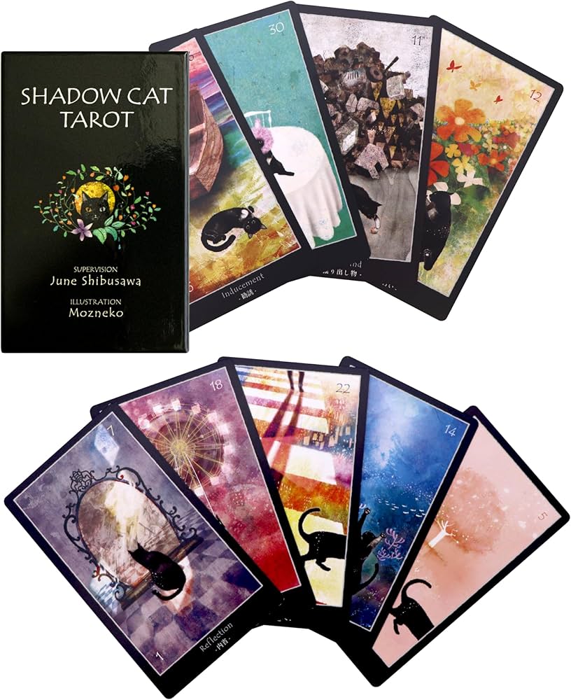 Amazon.co.jp: 【Liisha】 ジューン澁澤 監修 オリジナル タロット