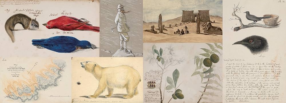 Amazon.co.jp: 冒険家たちのスケッチブック 発見と探検のリアル