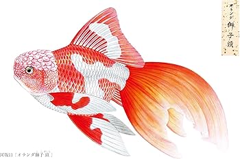 81qZAwK0+8L._AC_UF350,