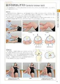 セラピストのための 機能解剖学的ストレッチング 下肢・体幹 | 鵜飼
