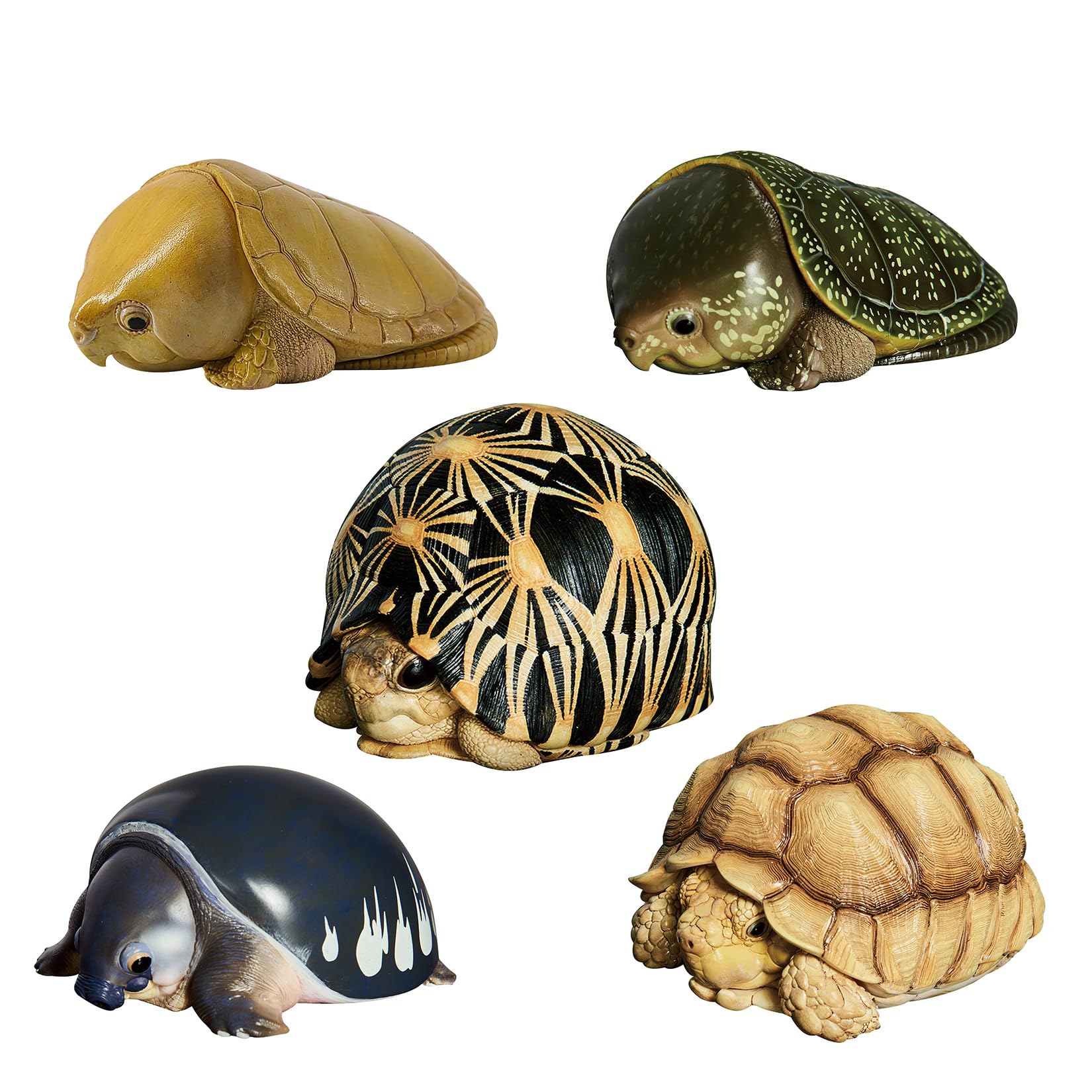 KAME HOUSE 幻獣の亀 フィギュア 完成品 22㎝ ガメラ KAME HOUSE 幻獣