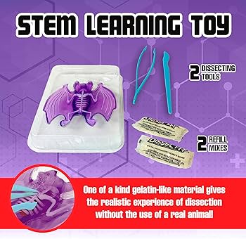 Amazon.com: Dissect-It Simulated Synthetic Lab Dissection Toy