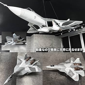 Amazon | eモンズ ビッグスケール 戦闘機 模型 【 T-50 】 スホーイ