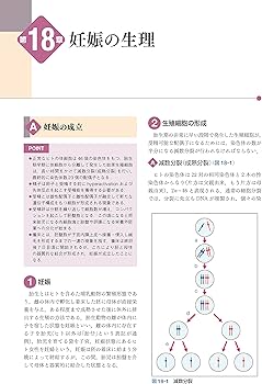 Amazon.co.jp: 標準産科婦人科学 第5版 (Standard Textbook) : 綾部