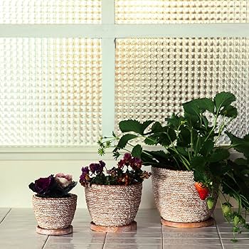 Amazon.co.jp: スパイス(Spice) SPICE OF LIFE 植木鉢 ヴィレッジ