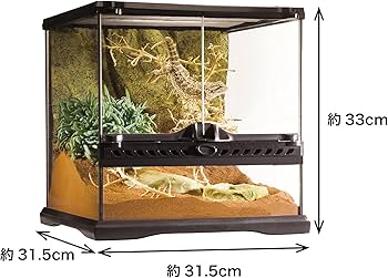 Amazon | エキゾテラ GEX EXOTERRA グラステラリウム 3030 PT2600