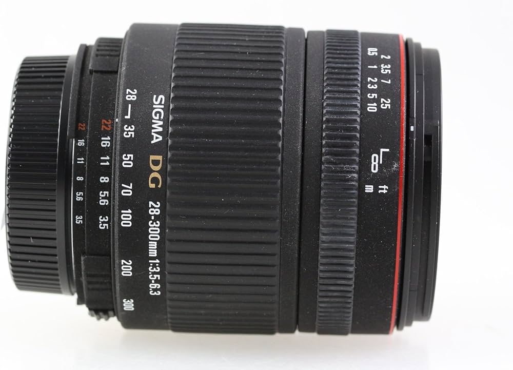 Amazon.co.jp: シグマ 28-300mm F3.5-6.3 DG MACRO ニコン用 : 家電