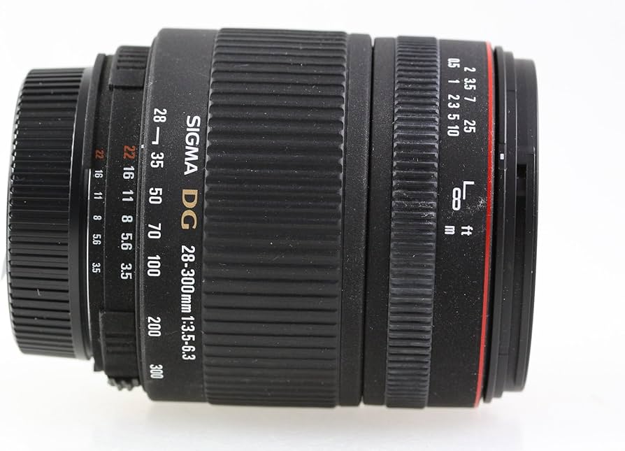 Amazon.com : Sigma 28-300mm f/3.5-6.3 DG Macro Aspherical Lens for