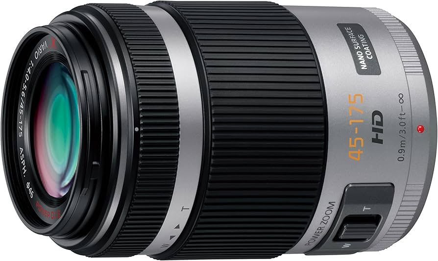 Panasonic Telephoto Zoom Lens for Micro Four Thirds Lumix G X