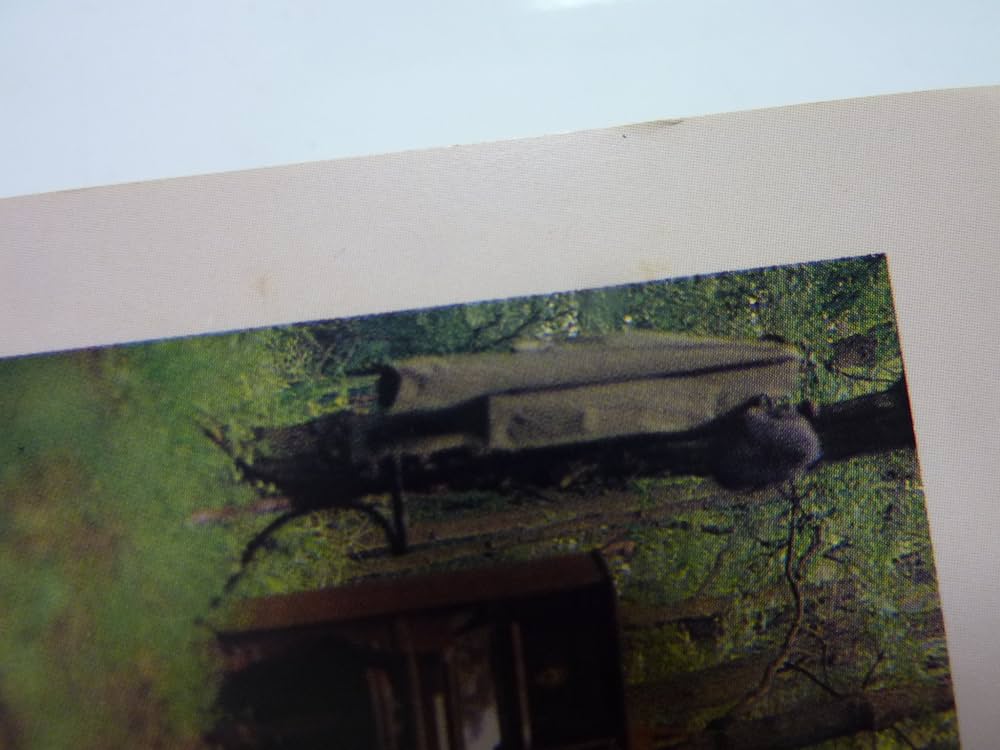 Amazon.co.jp: 遊歩道: Music