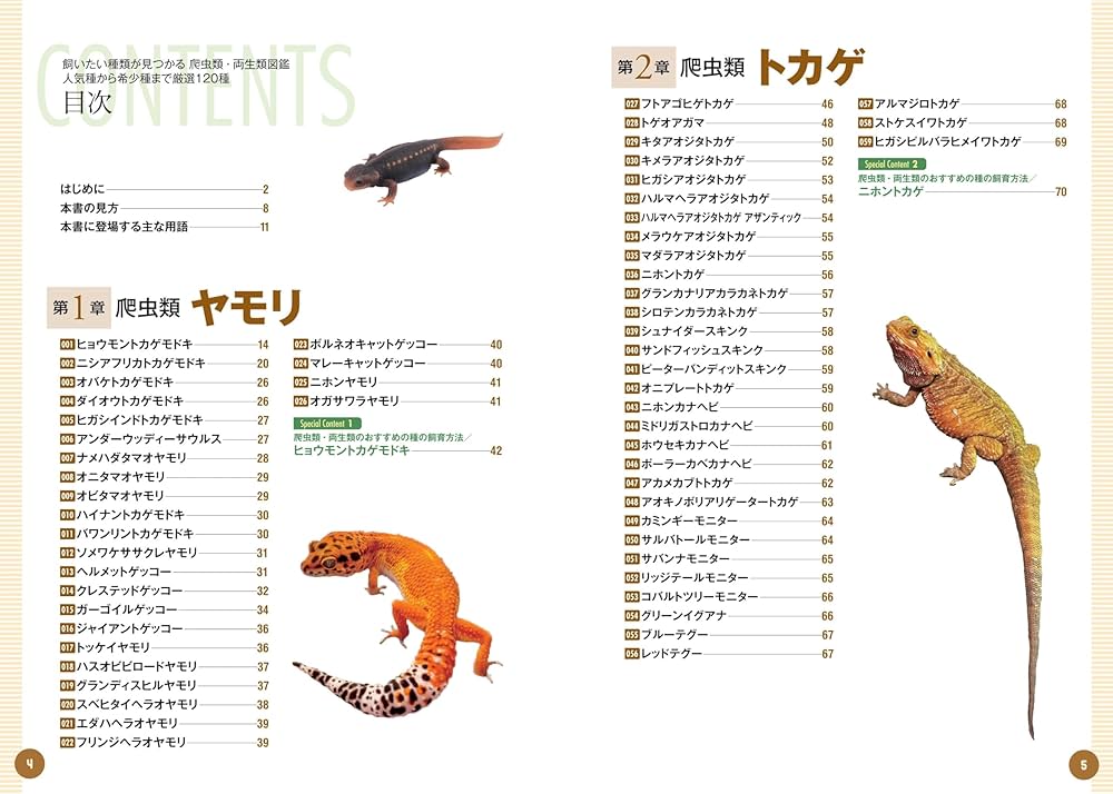 飼いたい種類が見つかる 爬虫類・両生類図鑑 人気種から希少種まで厳選