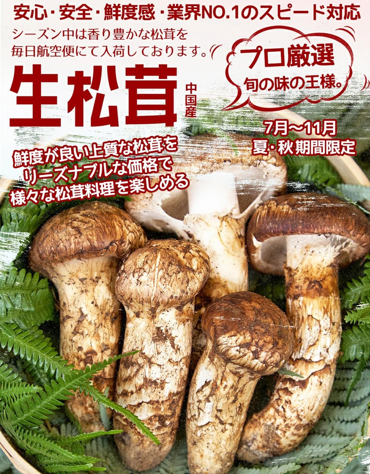 Amazon.co.jp: 生松茸 訳あり 約500g ＜開き方・大きさおまかせ＞ 空輸