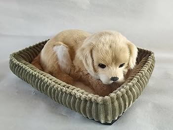 Amazon.co.jp: PawFection Pets ゴールデンレトリバー 犬 リアル 本物