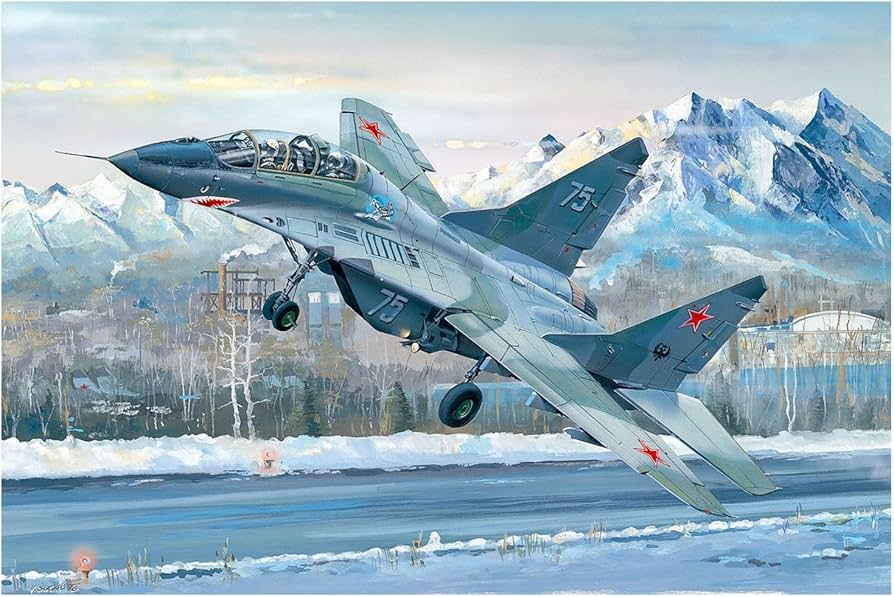 Amazon.com: Trumpeter TRU03226 Russian MIG-29UB Fulcrum Model Kit