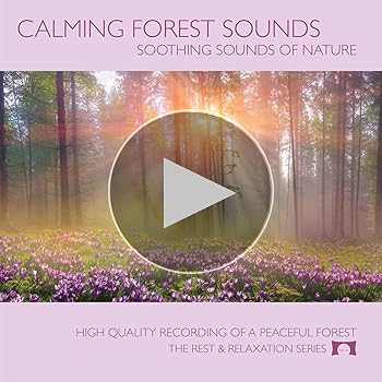 Rest and Relaxation Nature Sounds, White Noise and Music Series