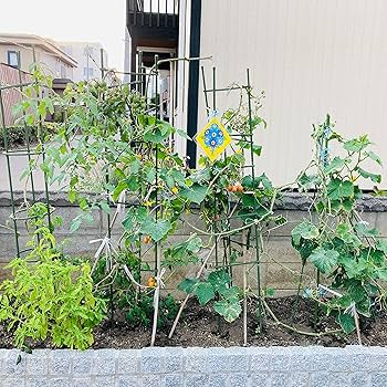 Amazon | ハイパーカラスシールド カラスよけ 吊るすだけ カラス 対策