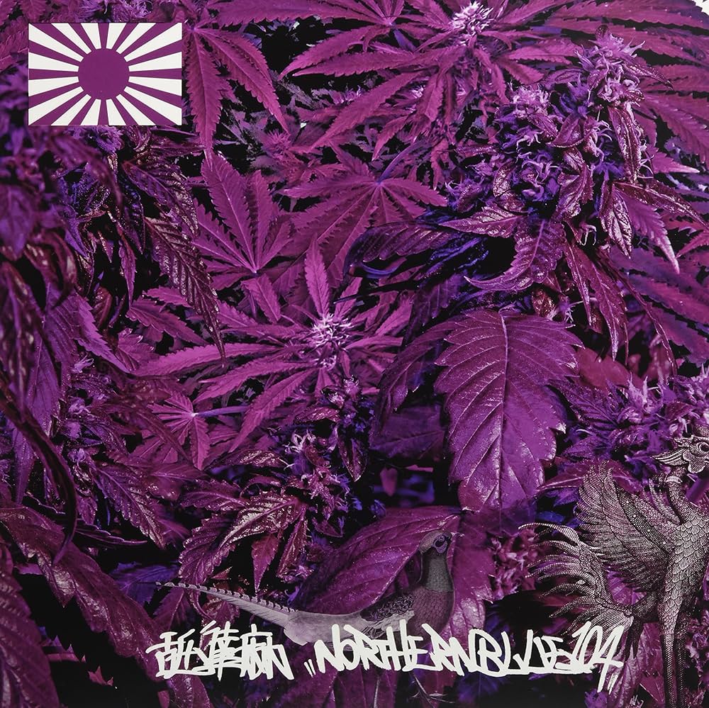 Amazon.co.jp: NorthernBlue 1.0.4. [Analog]: ミュージック