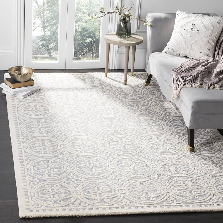 Amazon.com: SAFAVIEH Cambridge Collection 6' x 9' Silver / Ivory