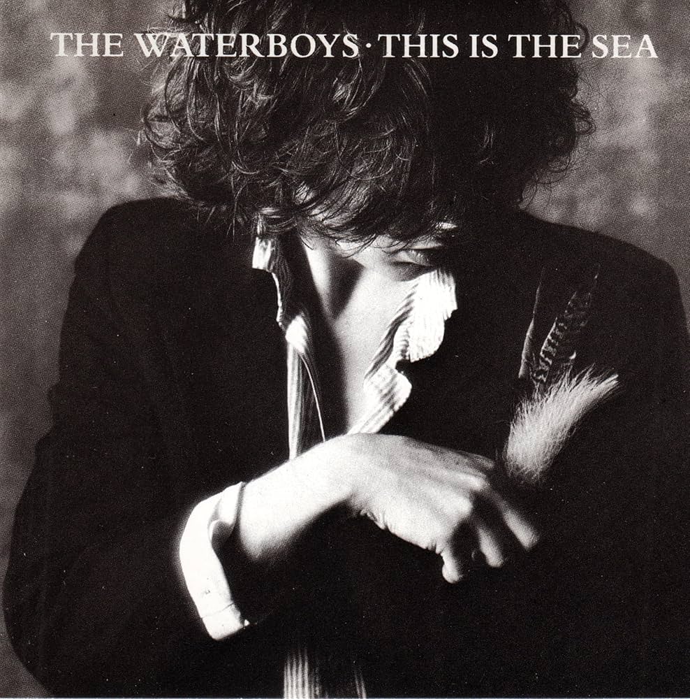 The Waterboys - This Is The Sea - Amazon.com Music