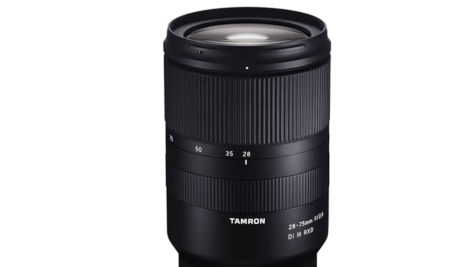 Amazon.com : TAMRON 28-75mm F2.8 RXD A036SF Lens for Sony-FE
