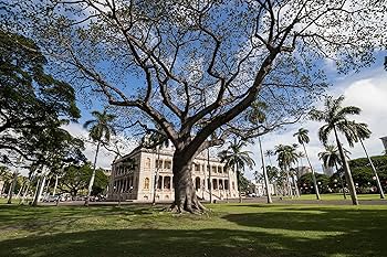 Amazon.co.jp: TAMRON 超広角ズームレンズ AF10-24mm F3.5-4.5 DiII VC