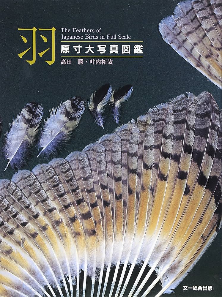 羽: 原寸大写真図鑑 | 高田 勝, 叶内 拓哉 |本 | 通販 | Amazon