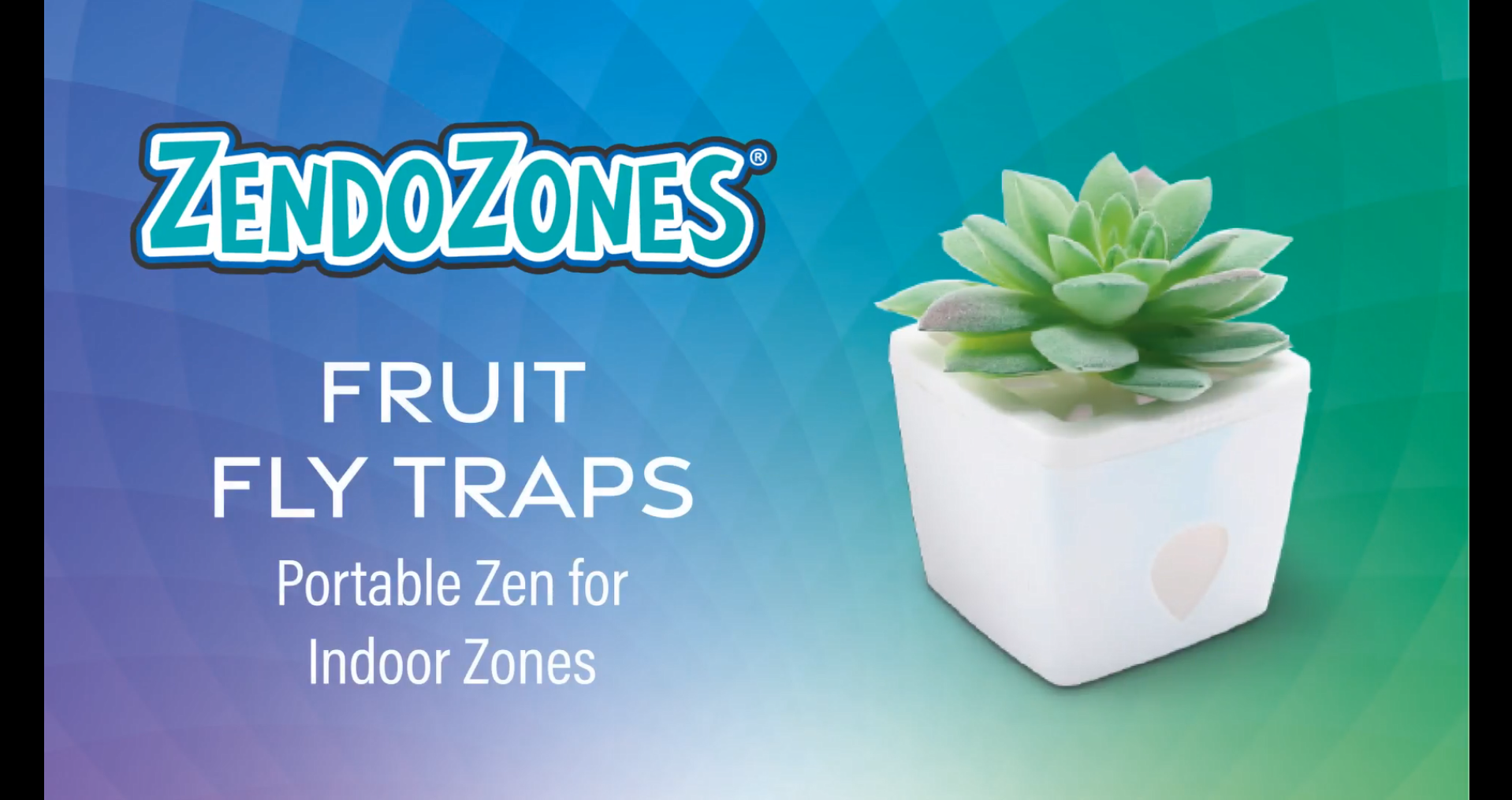 Amazon.com : ZendoZones Fruit Fly Traps with Zendo Lure, 2-Pack