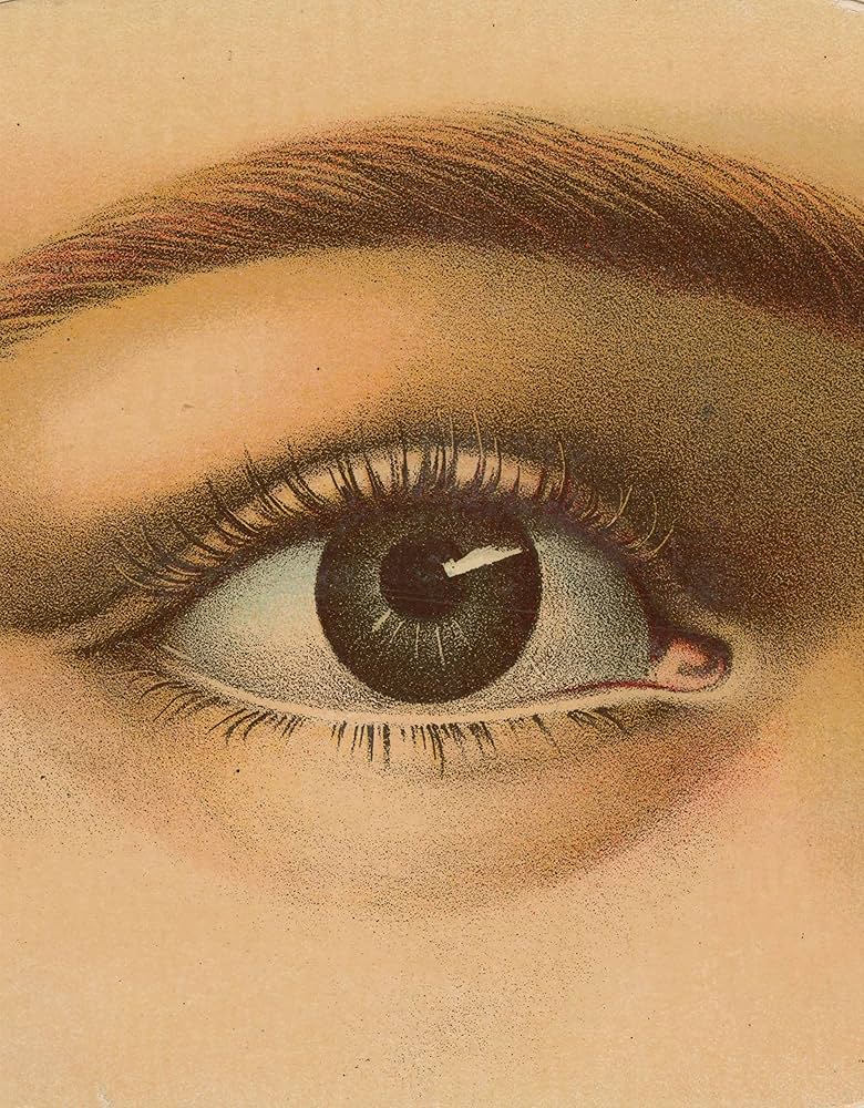 John Derian Picture Book (John Derian Paper Goods): Derian, John