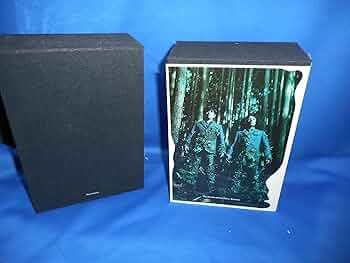 A1Oo6-y5fuL._AC_UF350,