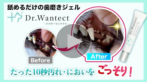 Amazon.co.jp: Dr．Wantect 犬用 歯磨きジェル 口腔ケア 犬