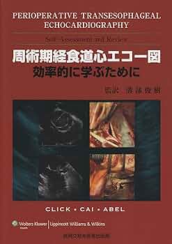 A1Tcq6fSr+L._AC_UF350,