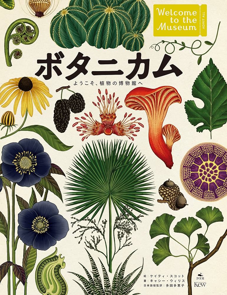 Amazon.co.jp: ボタニカム ようこそ、植物の博物館へ : キャシー