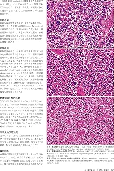 A1YtsSkl2WL._AC_UF350,