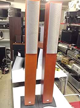 A1ZZbaM5JkL._AC_UF350,