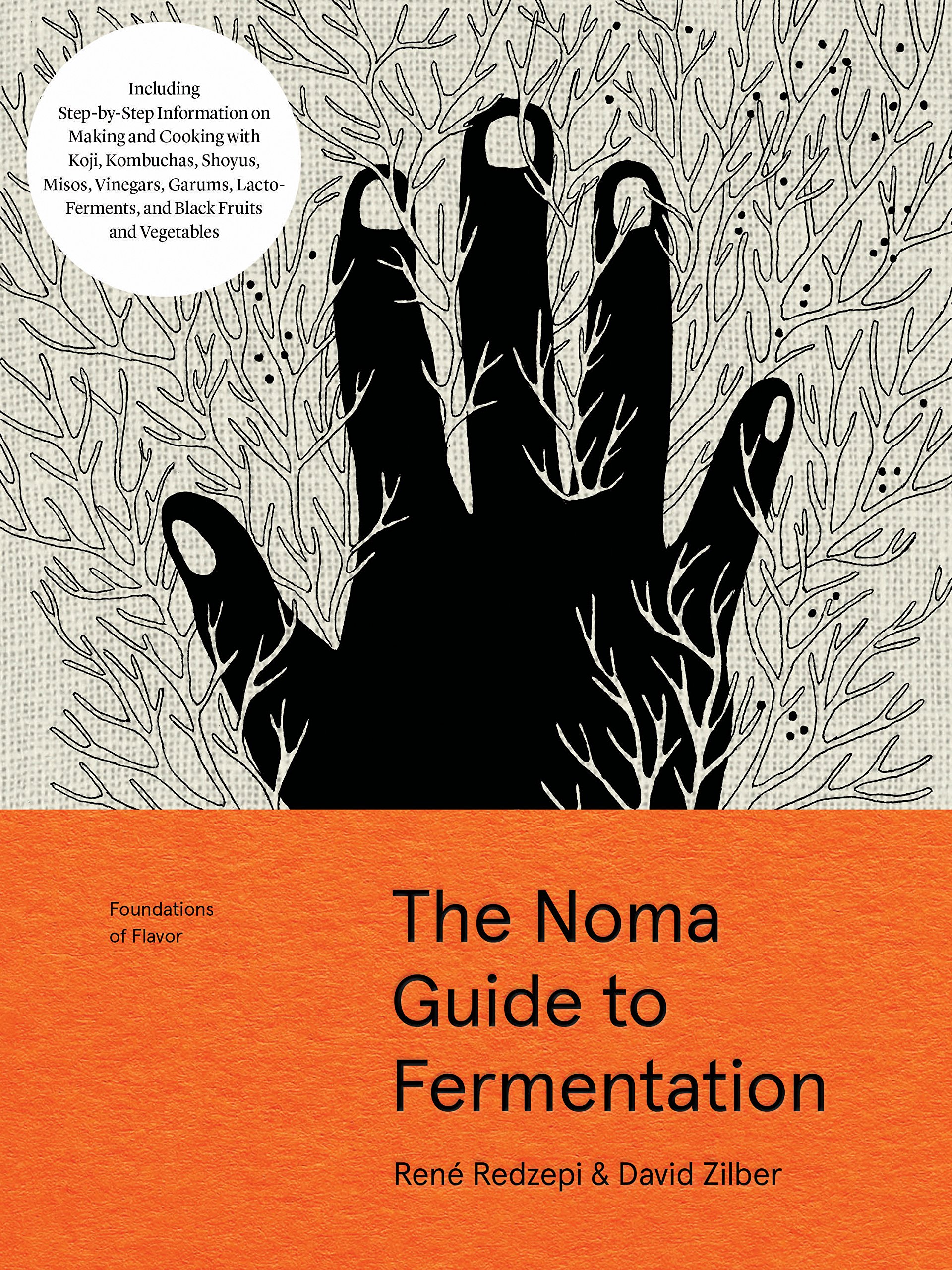 Amazon | The Noma Guide to Fermentation: Including koji, kombuchas