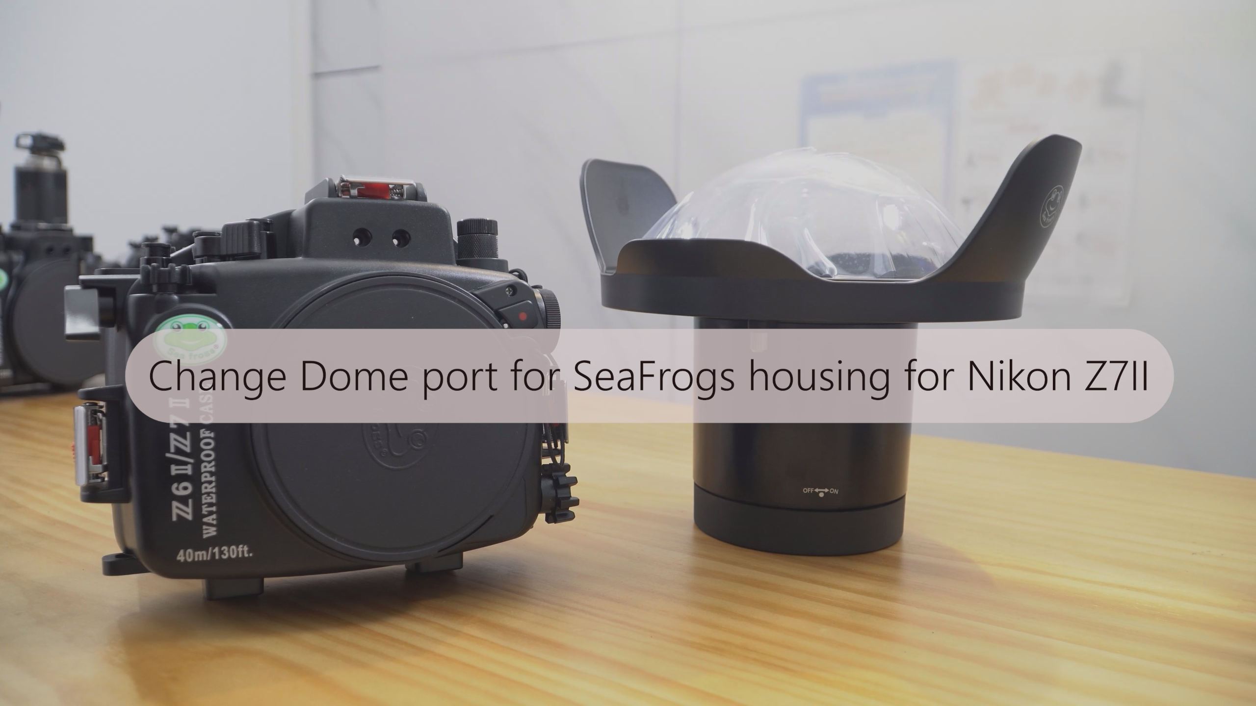 Amazon.com : SeaFrogs Underwater Housing for Nikon Z7 Z6+ 6 Inch