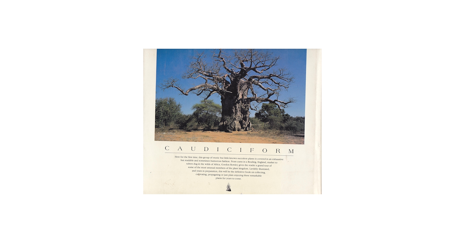 Caudiciform and Pachycaul Succulents: Pachycauls, Bottle-,Barrel