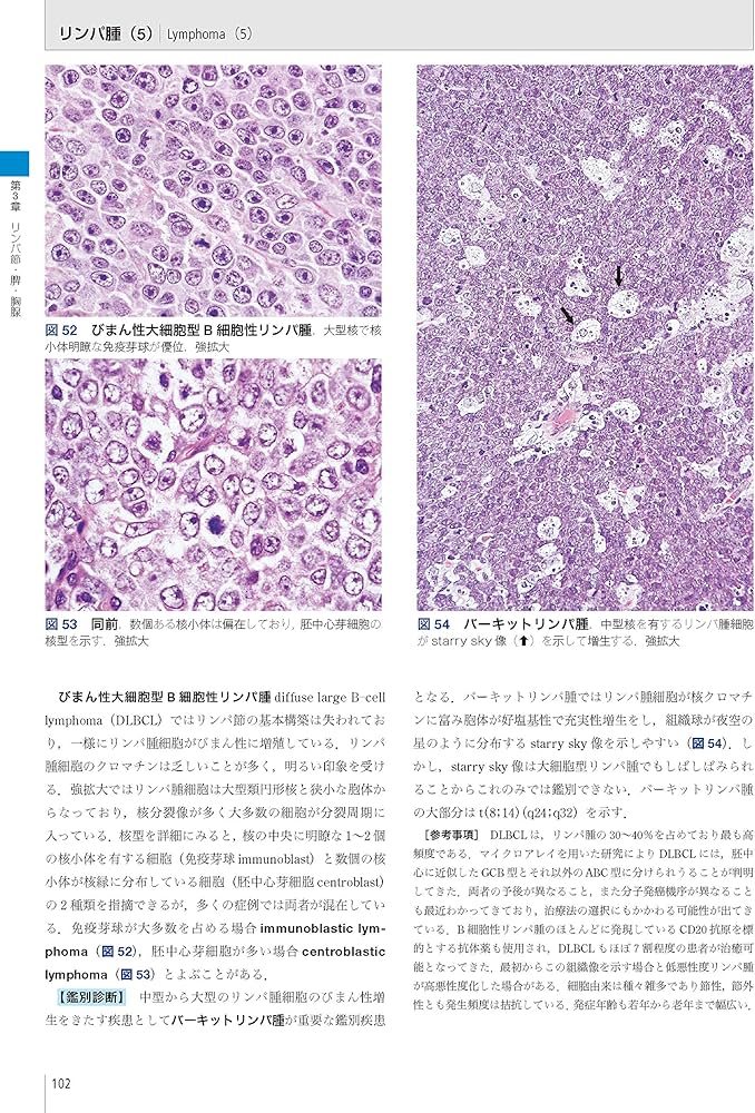 カラーアトラス 病理組織の見方と鑑別診断 第6版 | 赤木 忠厚, 松原 修