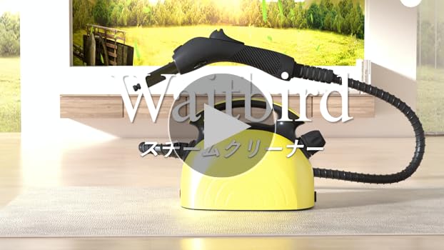 Amazon | Waitbird スチームクリーナー、21ピースアクセサリーセット