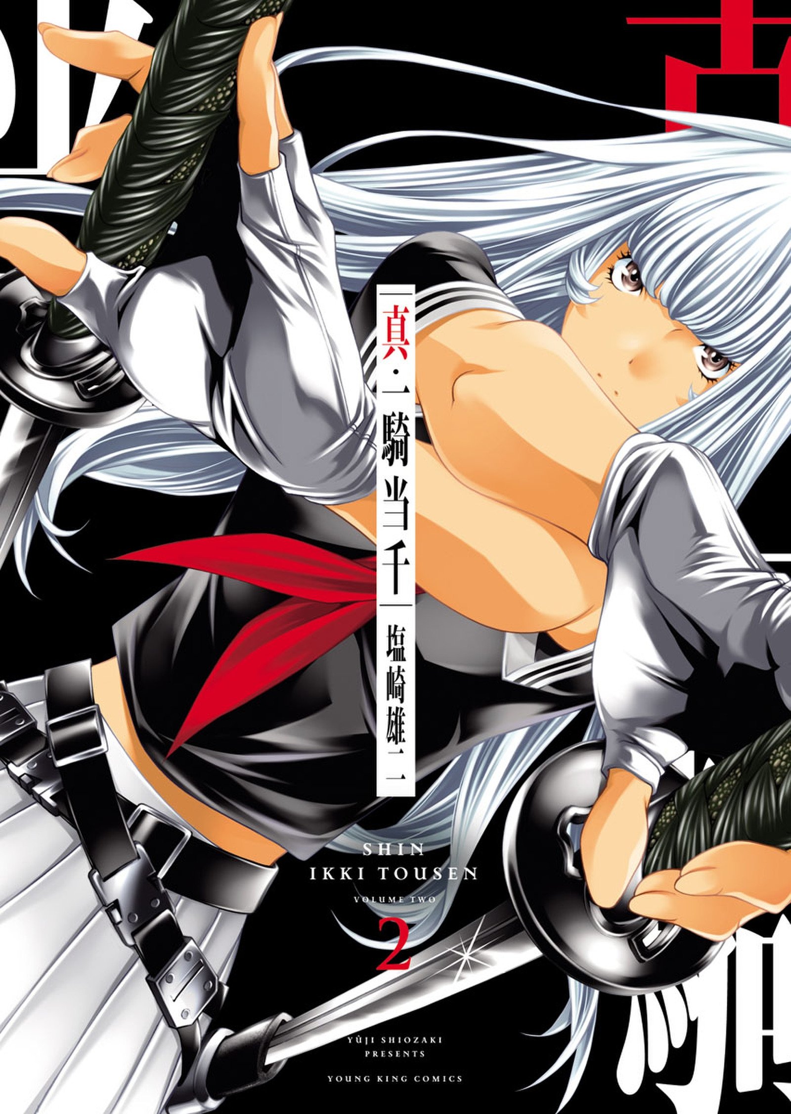 真・一騎当千 2 (ヤングキングコミックス; Shin Ikkitousen, #2) by